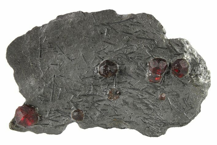 Plate of Six Red Embers Garnets in Graphite - Massachusetts #272725